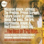Cover for Various Artists · This Is... The Best Of Trip Hop (CD)