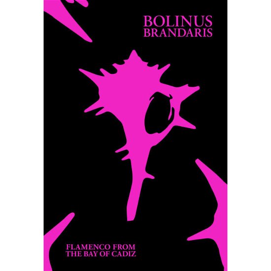 Cover for Bolinus Brandaris: Flamenco From The Bay Of Cadiz (CD) (2023)