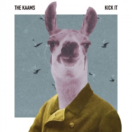 Cover for Kaams · Kick It (CD) (2019)