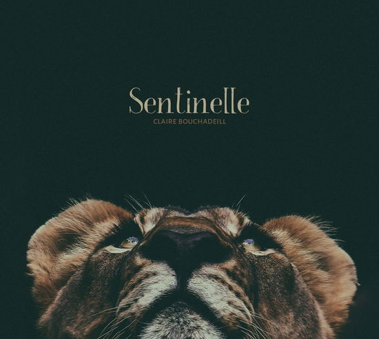 Cover for Claire Bouchadeill · Sentinelle (CD)