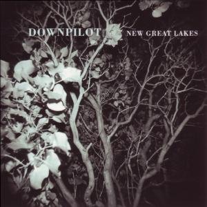 Cover for Downpilot · New Great Lakes (CD) (2011)