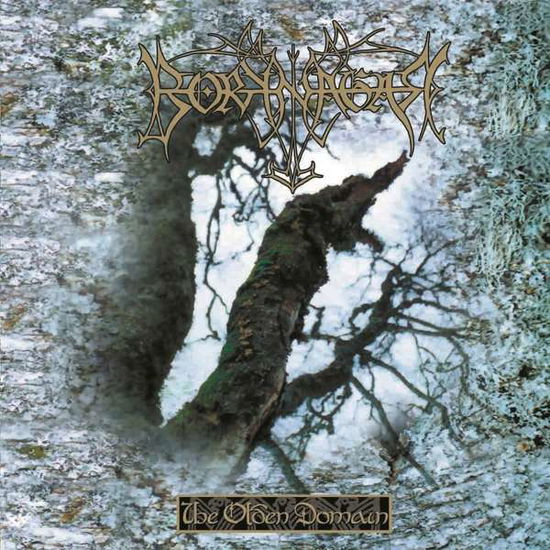 Olden Domain - Borknagar - Musik - Cosmic Key Creations - 4059251434825 - 19 mars 2021