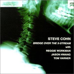 Bridge over the X-stream - Steve Cohn - Musikk - Leo Records UK - 5024792028825 - 11. april 2000