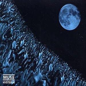 Cover for Muse · Hysteria (SCD) (2003)
