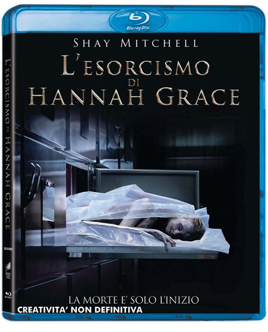 Cover for Grey Damon,stana Katic,shay Mitchell · Esorcismo Di Hannah Grace (L') (Blu-ray) (2019)