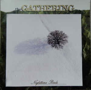 Cover for Gathering the · Nighttime Birds (CD) (2005)