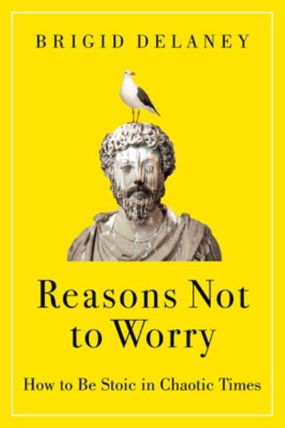 Cover for Brigid Delaney · Reasons Not to Worry: How to Be Stoic in Chaotic Times (Hardcover Book) (2023)