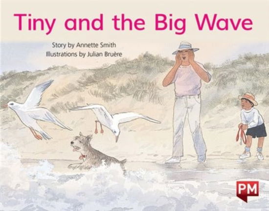 Pm Yellow Tiny & the Big Wave Pm Storybo -  - Inne - SCHOLASTIC LTD - 9780170388825 - 