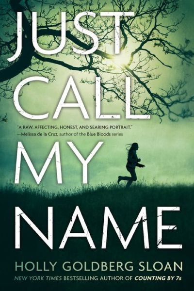 Cover for Holly Goldberg Sloan · Just Call My Name (Taschenbuch) (2016)