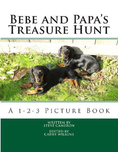 Cover for Steve Cameron · Bebe and Papa's Treasure Hunt: a 1-2-3 Picture Book (Bebe and Papa Storybooks) (Volume 2) (Paperback Book) (2013)