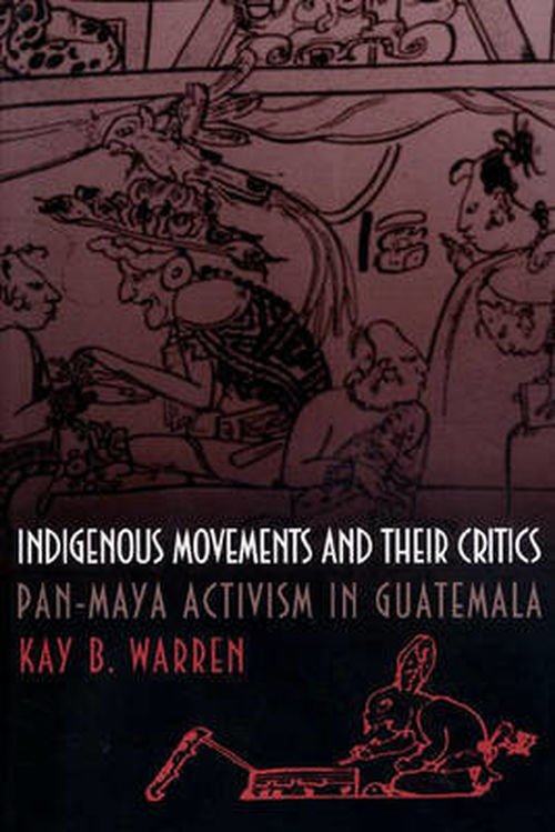 Cover for Kay B. Warren · Indigenous Movements and Their Critics: Pan-Maya Activism in Guatemala (Pocketbok) (1998)