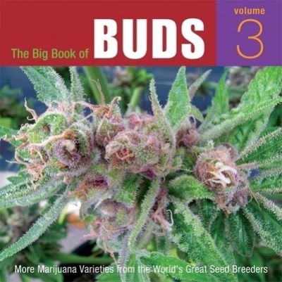 The Big Book of Buds, Volume 3 - Ed Rosenthal - Książki - Quick American - 9780932551825 - 1 czerwca 2007