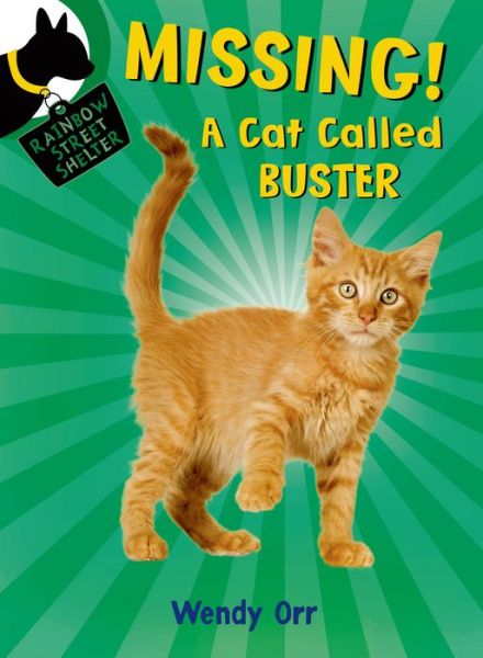 Cover for Wendy Orr · MISSING! A Cat Called Buster - Rainbow Street Shelter (Pocketbok) (2015)