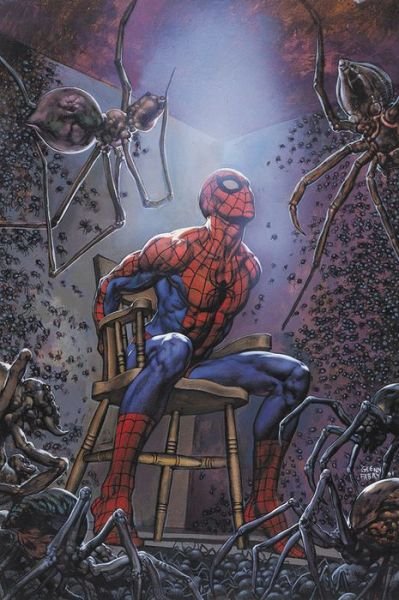 Cover for Garth Ennis · Spider-man's Tangled Web Omnibus (Hardcover Book) (2017)