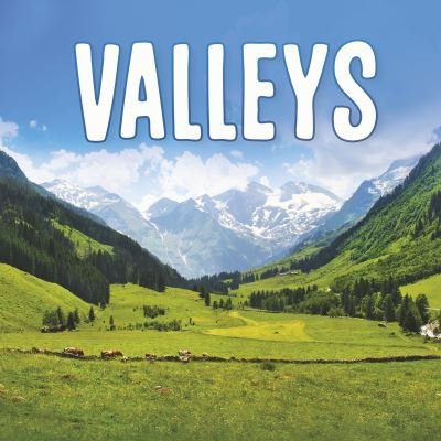 Cover for Lisa J. Amstutz · Valleys - Earth's Landforms (Inbunden Bok) (2021)