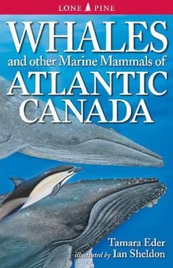 Cover for Tamara Eder · Whales and Other Marine Mammals of Atlantic Canada (Paperback Bog) (2012)