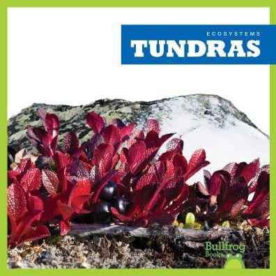 Cover for Nadia Higgins · Tundras - Ecosystems (Hardcover Book) (2019)