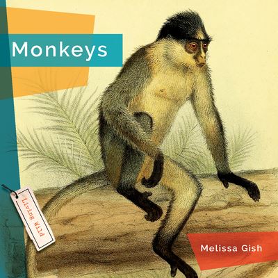 Cover for Melissa Gish · Monkeys (Book) (2023)