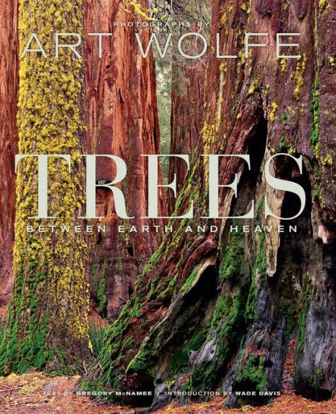 Trees: Between Heaven and Earth - Gregory McNamee - Books - Insight Editions - 9781683830825 - October 16, 2018
