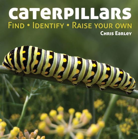 Cover for Chris Earley · Caterpillars: Find - Identify - Raise Your Own (Hardcover Book) (2013)