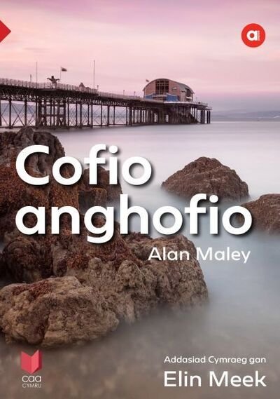 Cover for Alan Maley · Cyfres Amdani: Cofio Anghofio (Pocketbok) (2018)