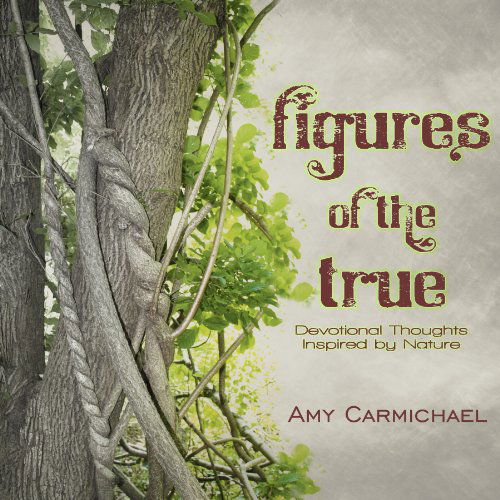 Cover for Amy Carmichael · Figures of the True (Paperback Book) (2011)