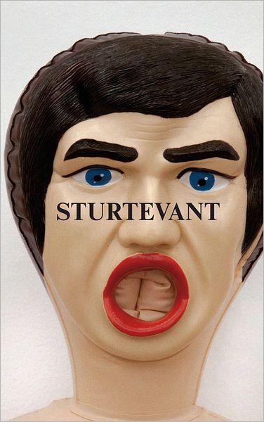 Cover for Daniel Birnbaum · Sturtevant: Image Over Image (Taschenbuch) (2012)