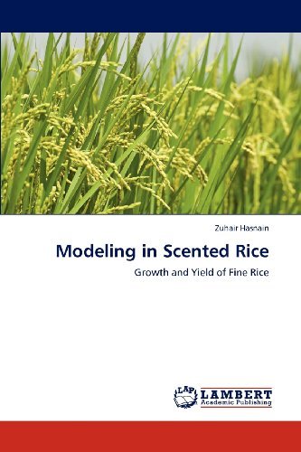 Cover for Zuhair Hasnain · Modeling in Scented Rice: Growth and Yield of Fine Rice (Taschenbuch) (2012)