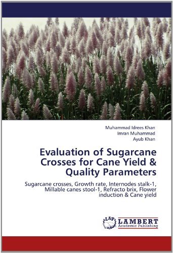 Cover for Ayub Khan · Evaluation of Sugarcane Crosses for Cane Yield &amp; Quality Parameters: Sugarcane Crosses, Growth Rate, Internodes Stalk-1, Millable Canes Stool-1, Refracto Brix, Flower Induction &amp; Cane Yield (Pocketbok) (2012)