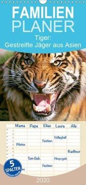 Cover for Tiger · Gestreifte Jäger aus Asien - Fam (Bog)