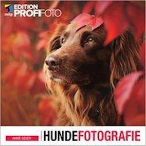 Cover for Geier · Hundefotografie (Buch)