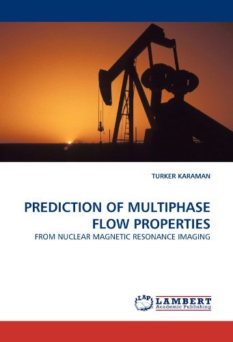 Cover for Turker Karaman · Prediction of Multiphase Flow Properties: from Nuclear Magnetic Resonance Imaging (Paperback Book) (2010)