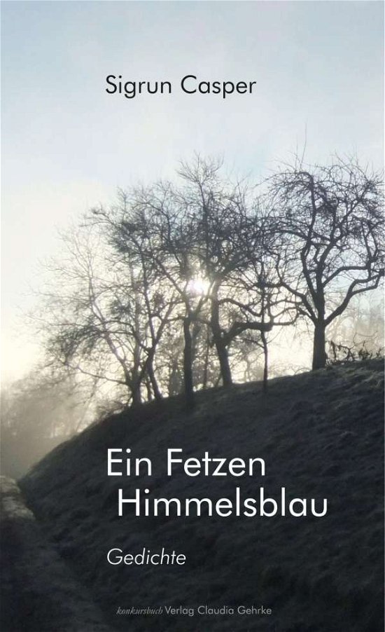 Cover for Casper · Ein Fetzen Himmelsblau (Buch)
