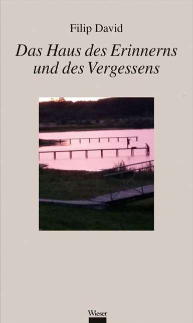 Cover for David · Das Haus des Erinnerns und des Ve (Book)