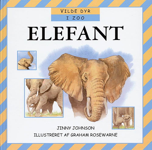 Cover for Jinny Johnson · Elefant (Inbunden Bok) [1:a utgåva] (2006)