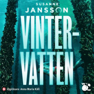 Cover for Susanne Jansson · Vintervatten (Książka audio (MP3)) (2020)