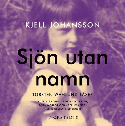 Cover for Kjell Johansson · Sjön utan namn (Audiobook (MP3)) (2009)