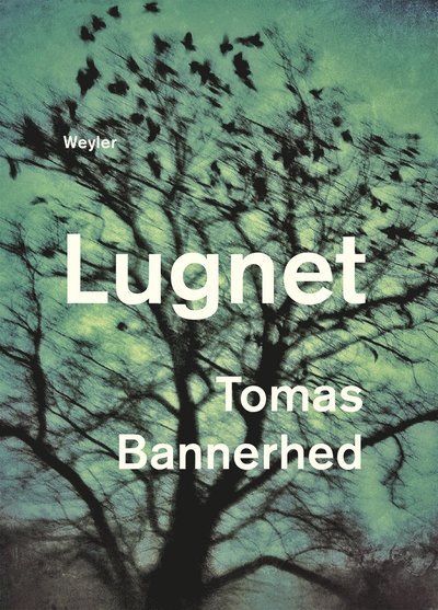 Cover for Tomas Bannerhed · Lugnet (Paperback Book) (2019)