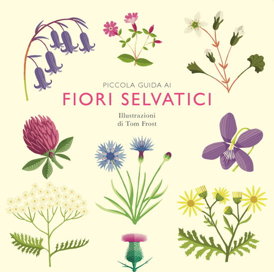 Cover for Alison Davies · Piccola Guida Ai Fiori Selvatici (Bok)