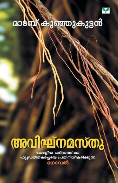 Cover for Kunjikuttan Madambu Kunjikuttan · Avignamasthu (Paperback Bog) (2019)