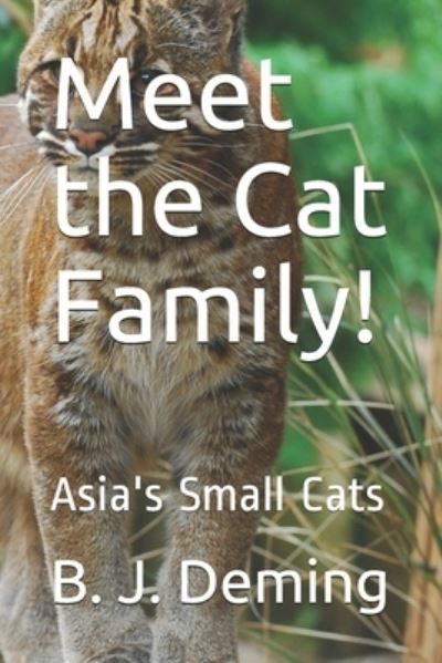 Meet the Cat Family! - B J Deming - Boeken - Independently Published - 9798647605825 - 21 mei 2020