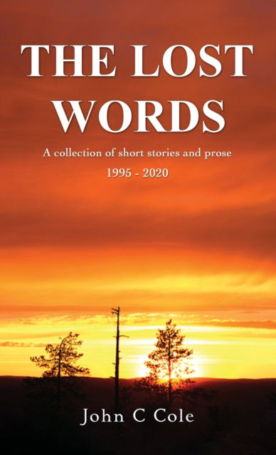 Cover for John C Cole · The Lost Words: A collection of short stories and prose 1995 - 2020 (Paperback Book) (2024)