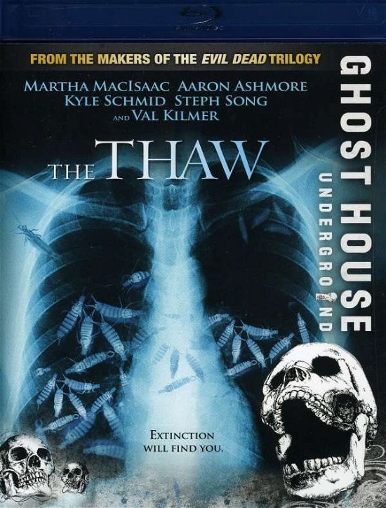 Thaw - Thaw - Movies - Lionsgate - 0031398114826 - October 6, 2009