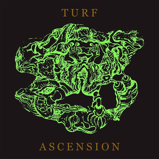 Cover for Bubblemath · Turf Ascension (CD) (2022)