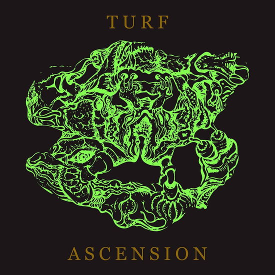 Turf Ascension - Bubblemath - Music - CUNEIFORM - 0045775048826 - June 24, 2022