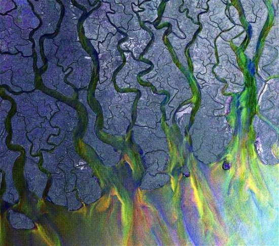 Cover for Alt-j · An Awesome Wave (CD) (2012)