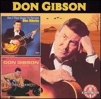 Cover for Don Gibson · Am I That Easy to Forget: Lovin Lies (CD) (2004)