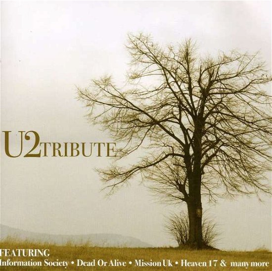 Cover for U2 Tribute (CD) (2011)