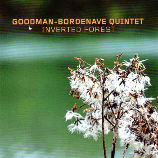 Cover for Goodman-Bordenave Quintet · Inverted Forest (CD) (2015)