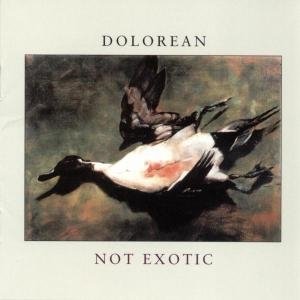 Cover for Dolorean · Not Exotic (CD)